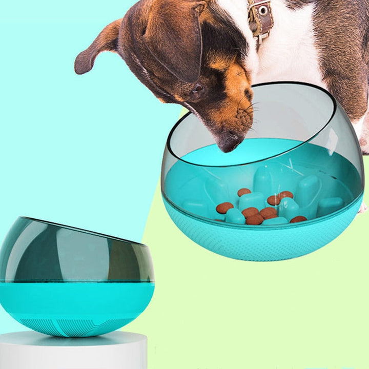 Slow Feeder Dog Bowl for Fast Eating & Gulping Dogs