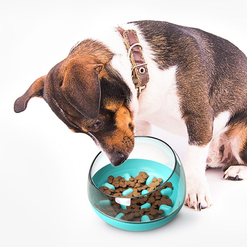 Slow Feeder Dog Bowl for Fast Eating & Gulping Dogs