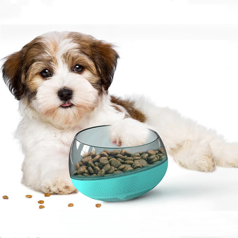Slow Feeder Dog Bowl for Fast Eating & Gulping Dogs