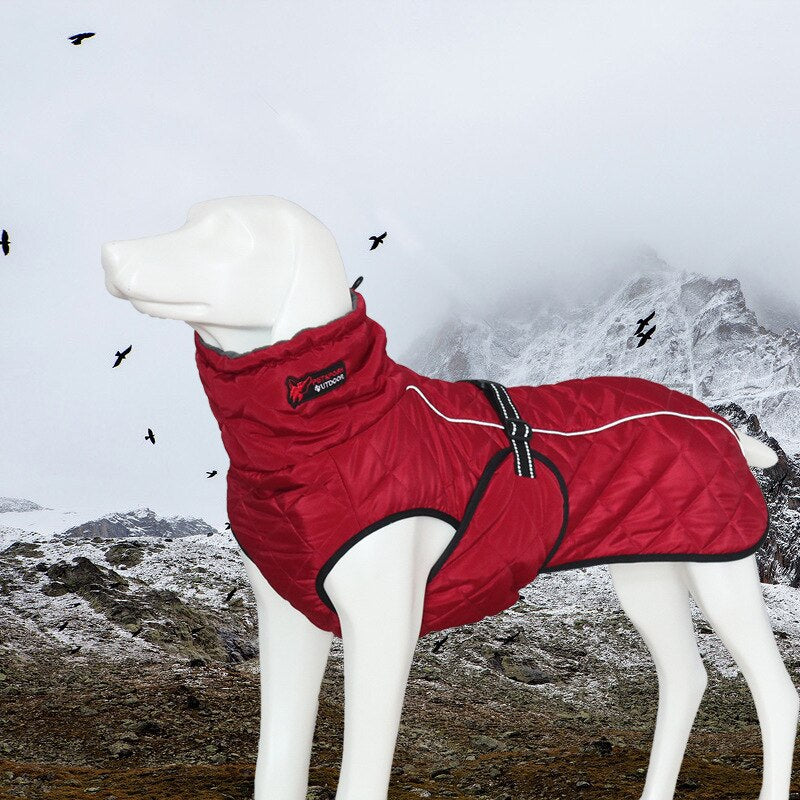 Large Dog Winter Coat with Fleece Lining & Reflective Trim