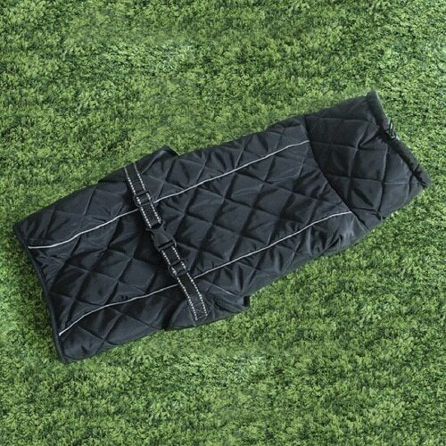 Large Dog Winter Coat with Fleece Lining & Reflective Trim