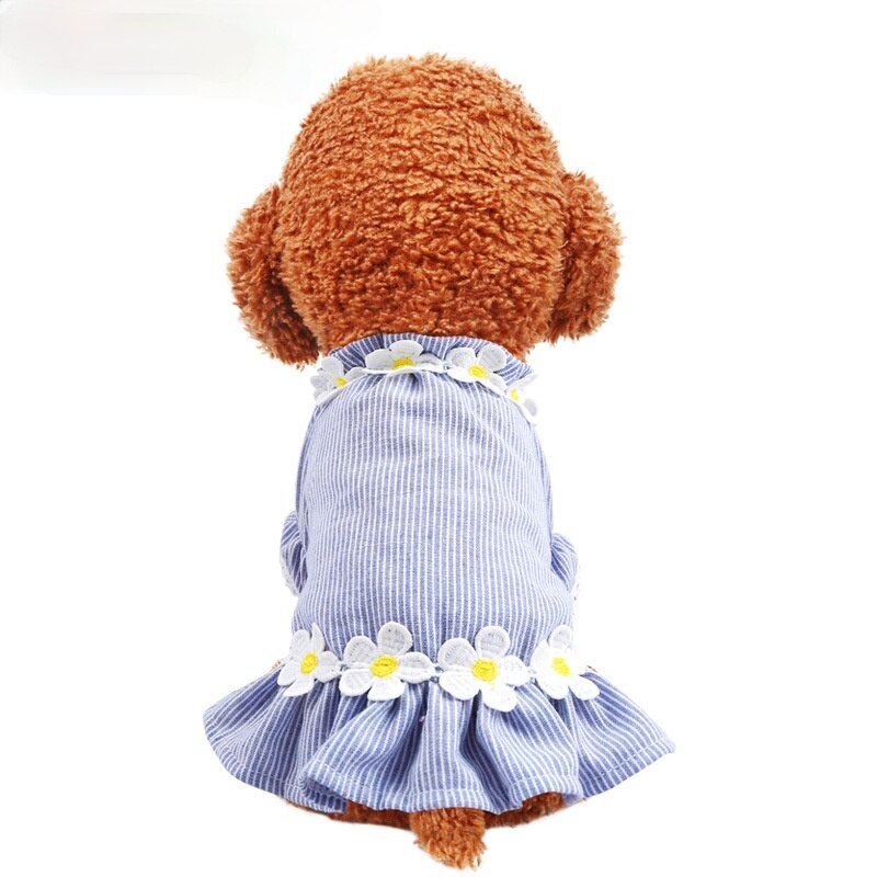 Small Dog Floral Dress for Lightweight Summer Style