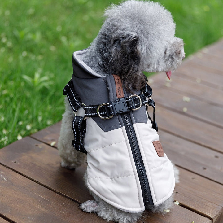 Small Dog Winter Vest With Warm Padded Harness Protection