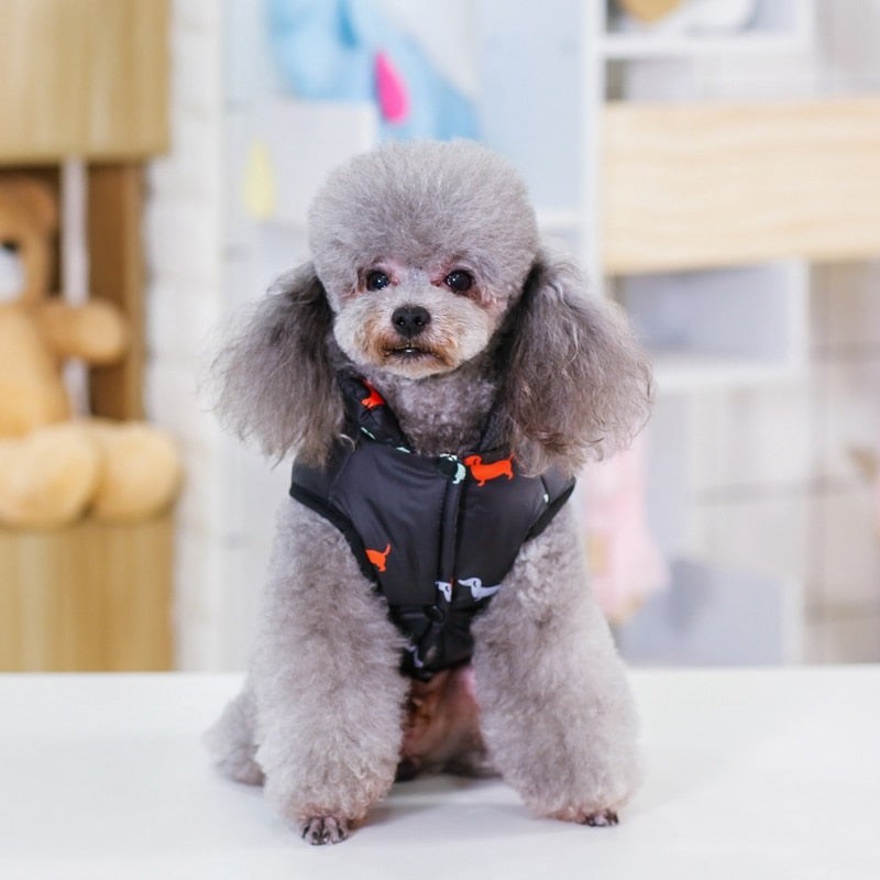 Small Dog Winter Jacket Vest for Warm, Cozy Walks