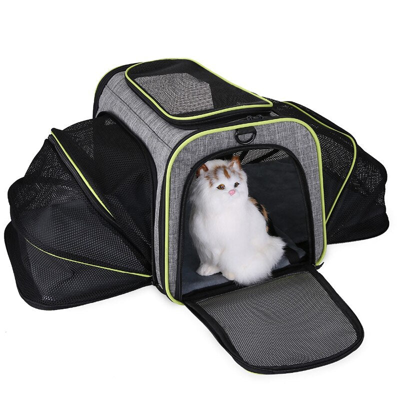 Expandable Pet Carrier Backpack for Cats & Small Dogs