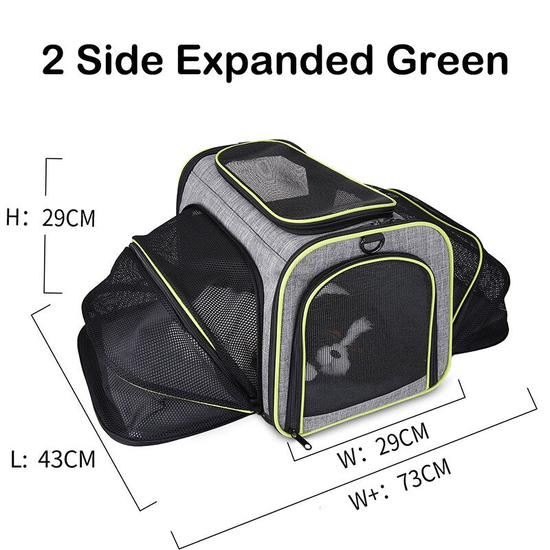Expandable Pet Carrier Backpack for Cats & Small Dogs