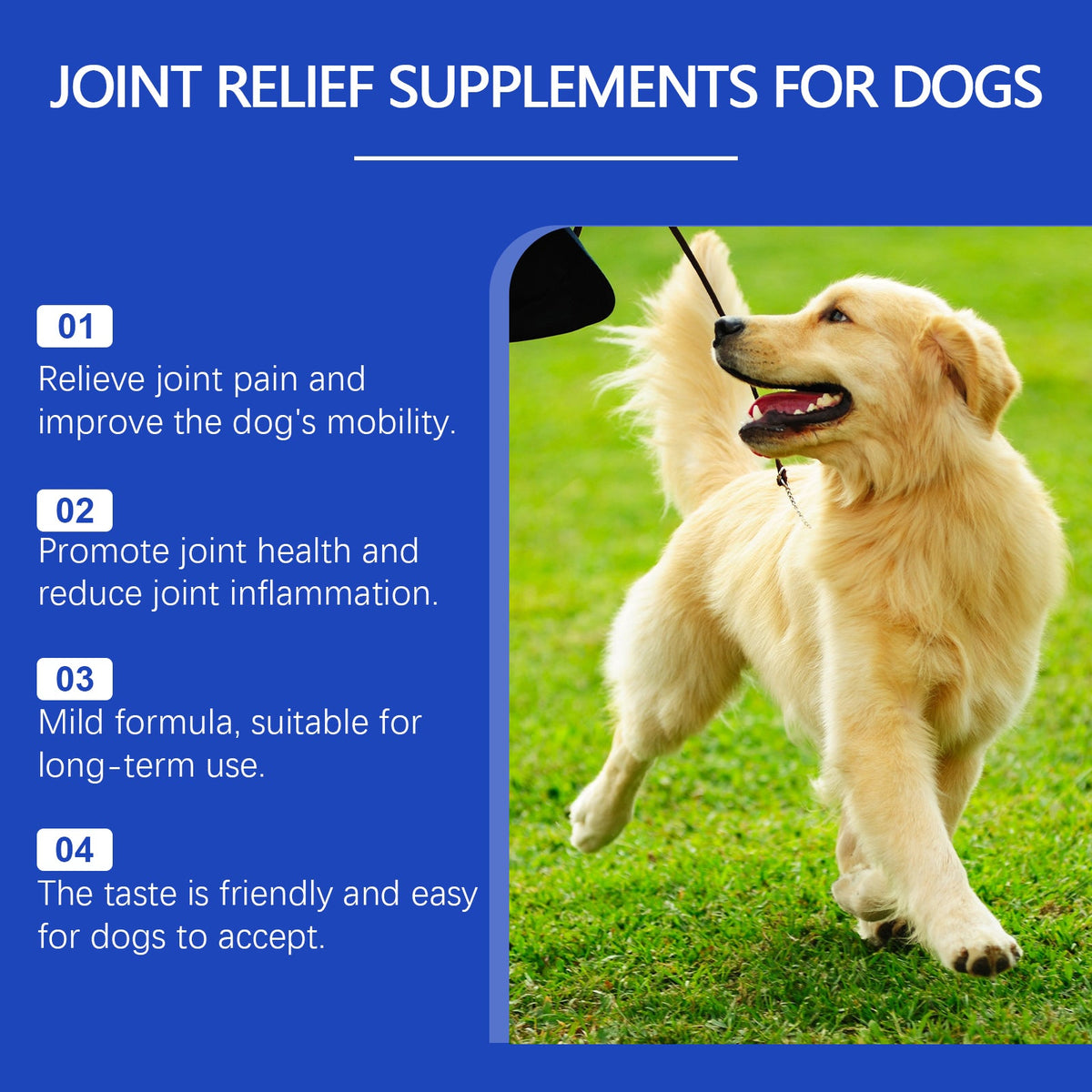 Dog Joint Supplement for Daily Mobility & Joint Care