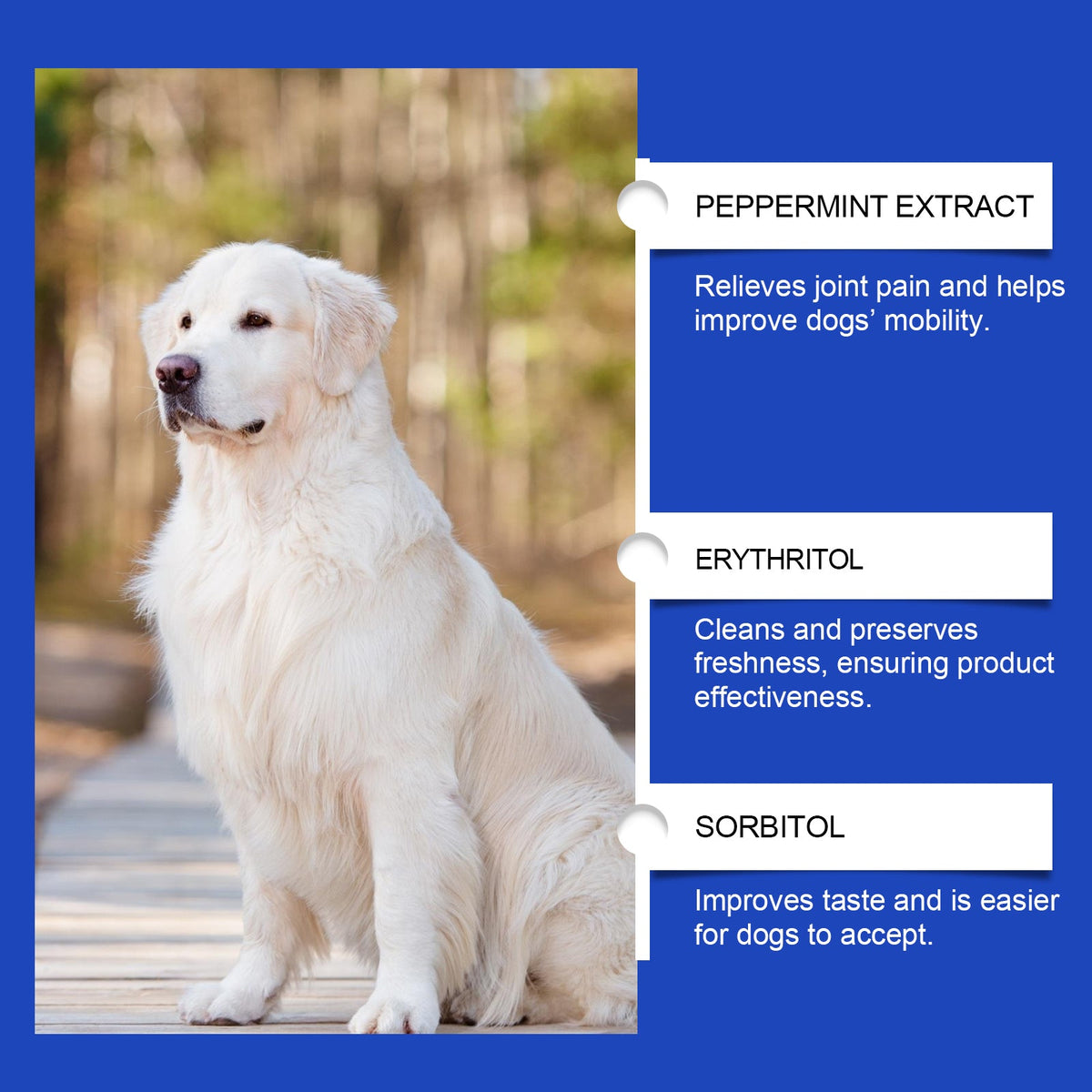 Dog Joint Supplement for Daily Mobility & Joint Care