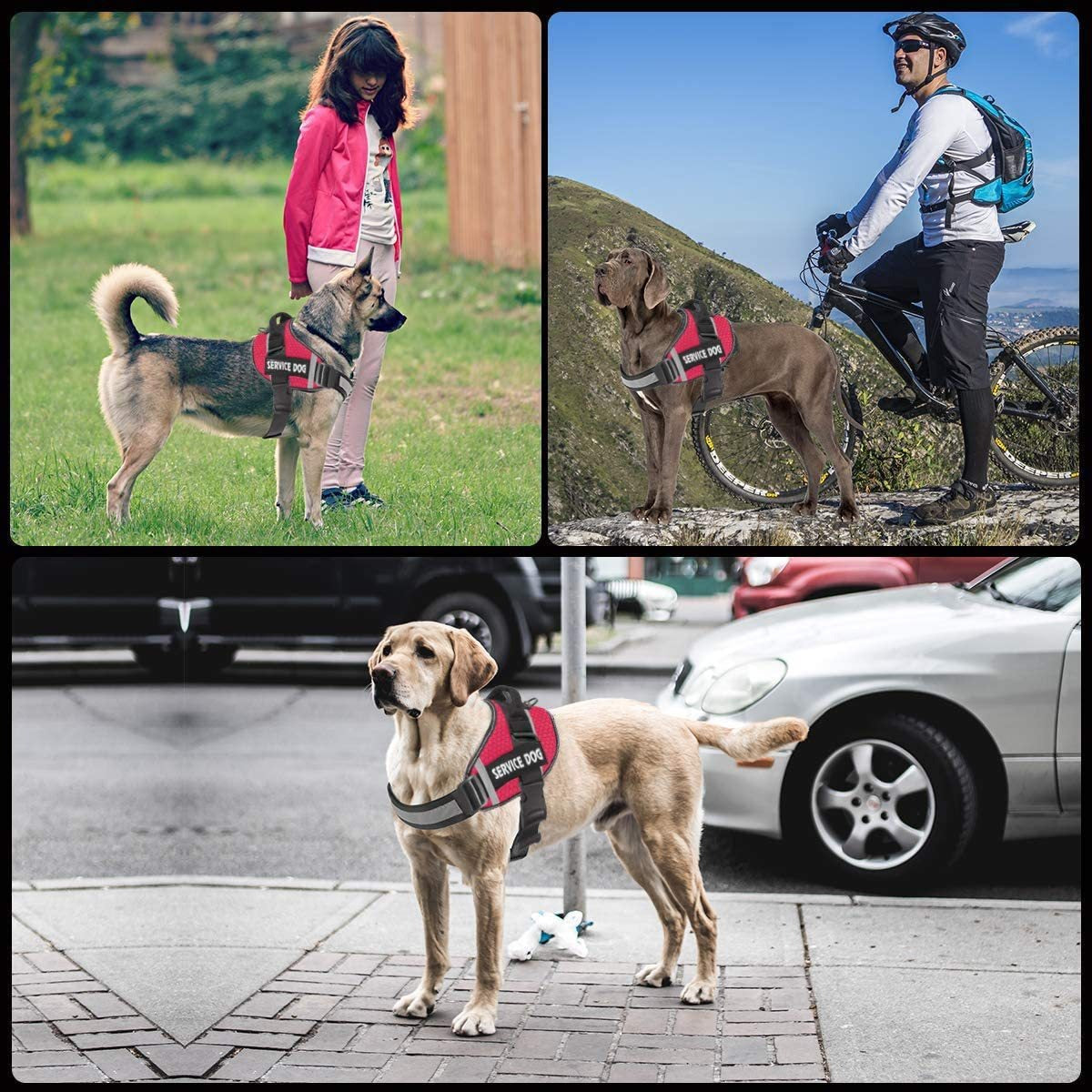 Reflective Service Dog Harness With Secure Control Handle