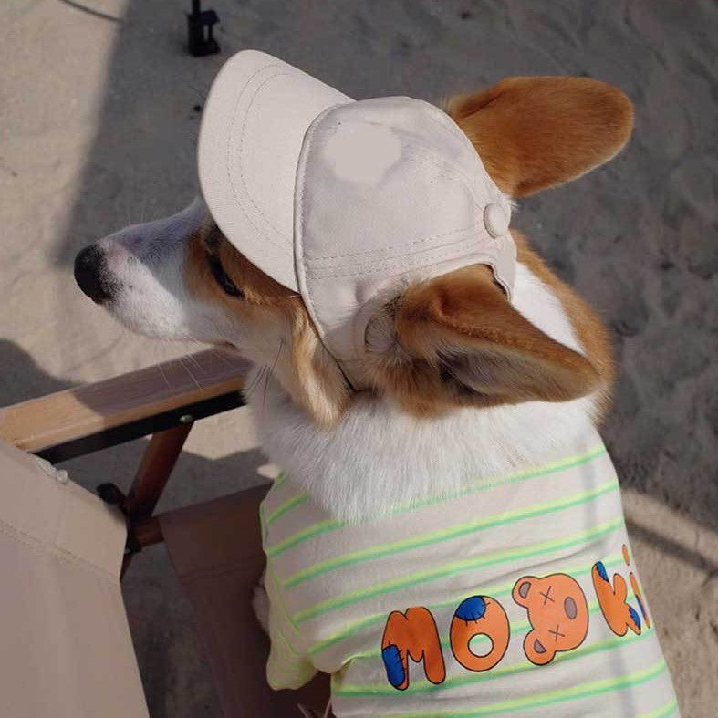 Dog Baseball Cap with Ear Holes for Sun Protection