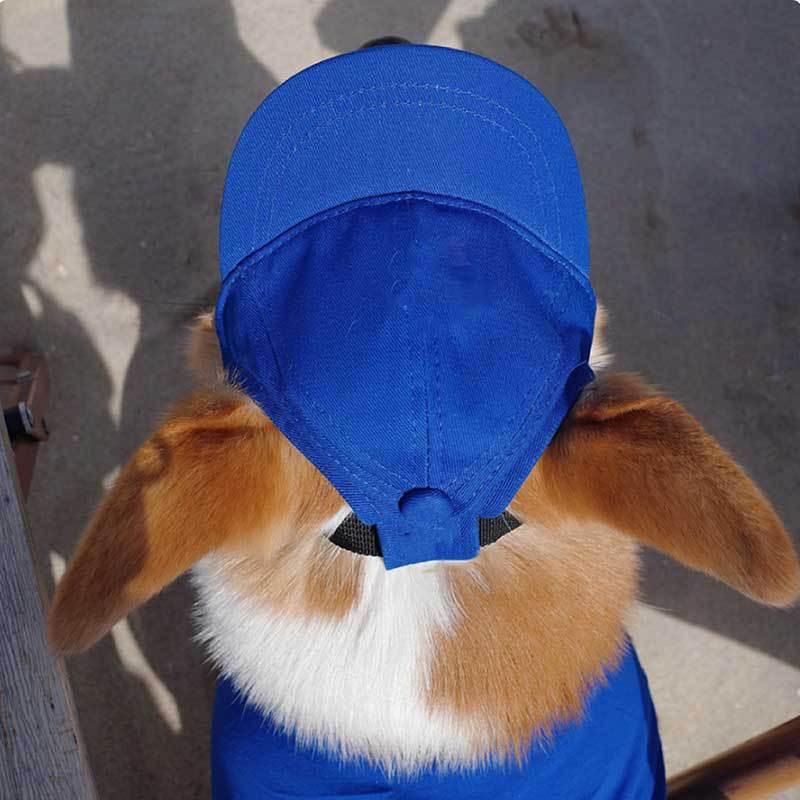 Dog Baseball Cap with Ear Holes for Sun Protection