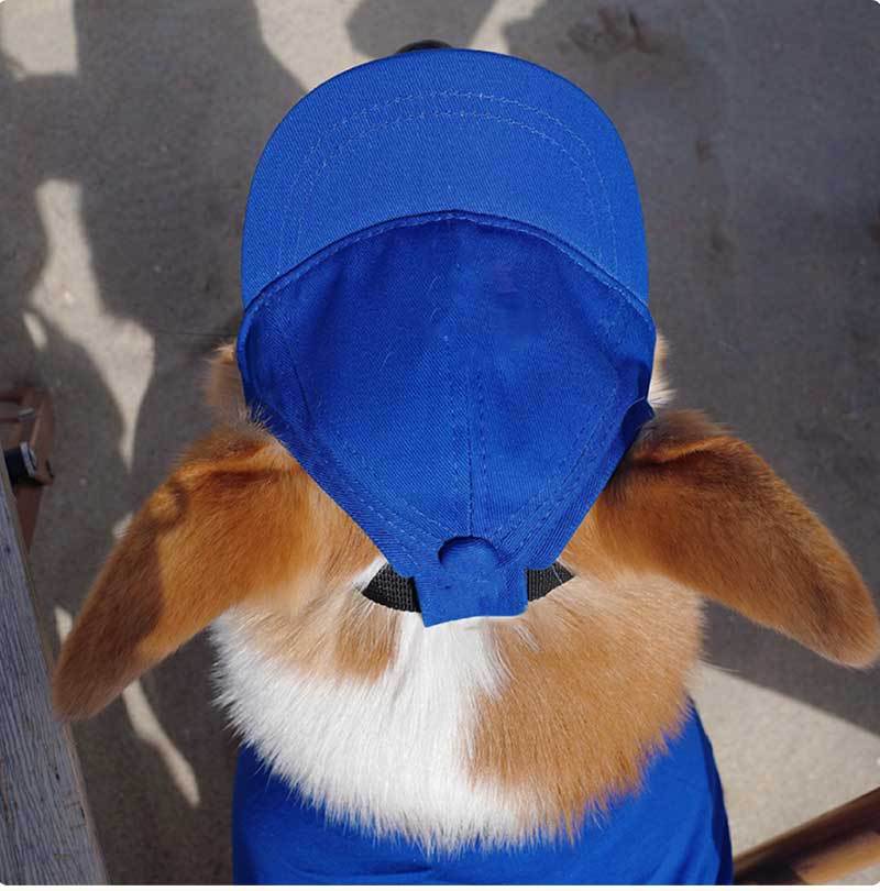 Dog Baseball Cap with Ear Holes for Sun Protection