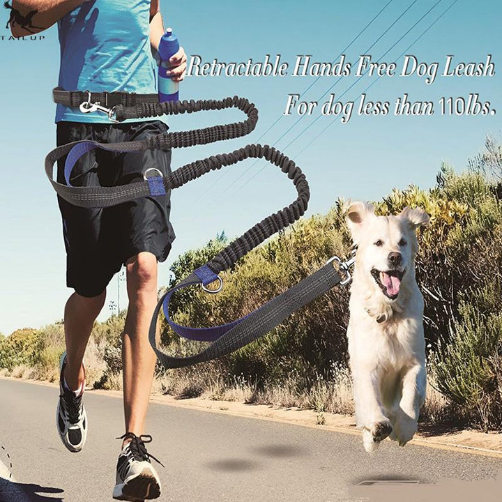 Hands-Free Dog Leash for Running With Reflective Lines