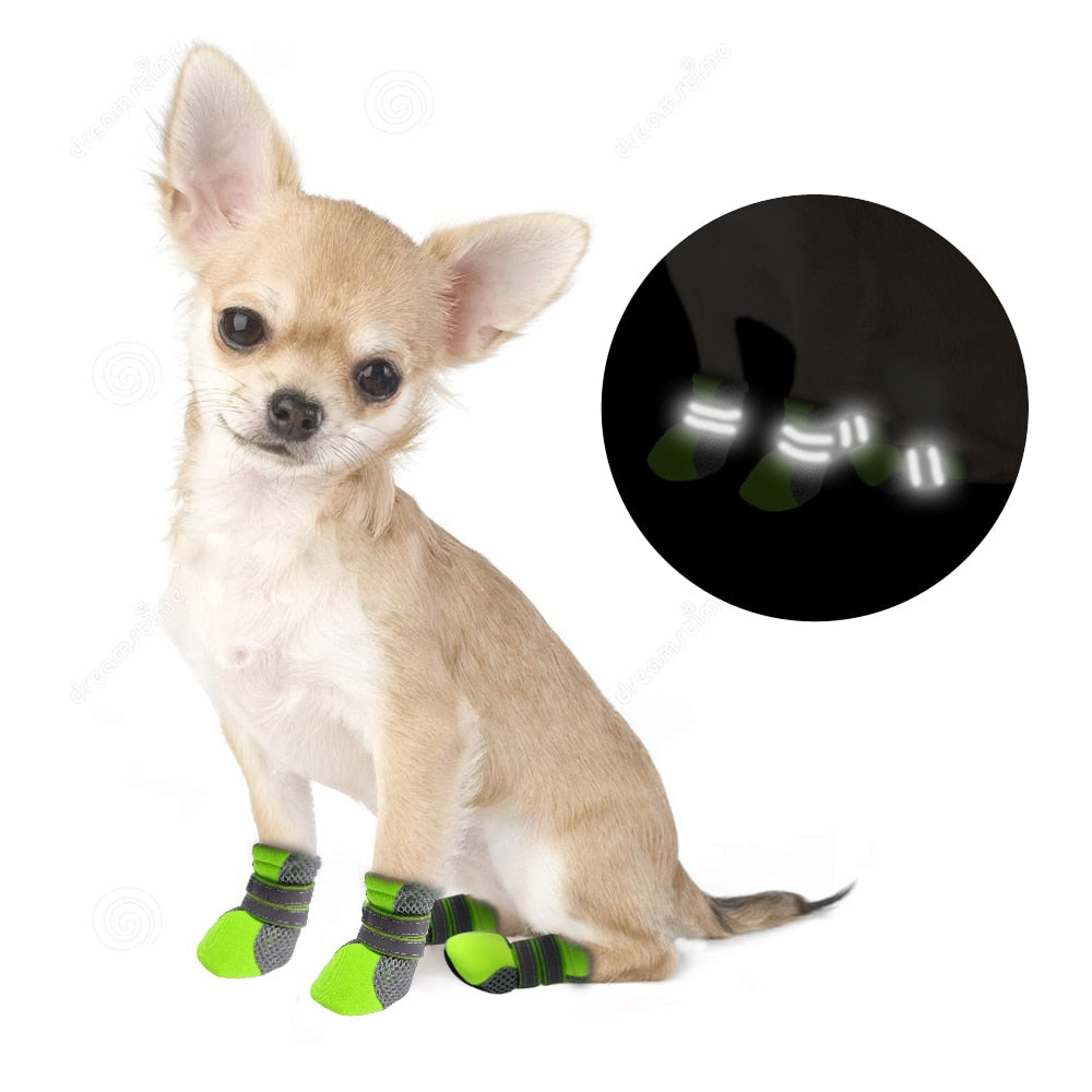 Small Dog Shoes With Anti-Skid Grip for Rainy Walks