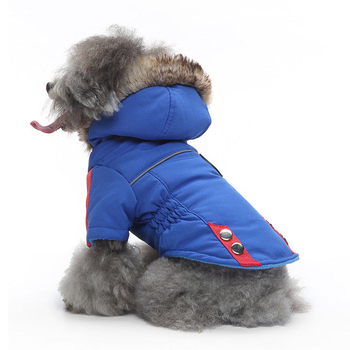 Padded Dog Jacket for Warm, Cozy Winter Walks Outdoors
