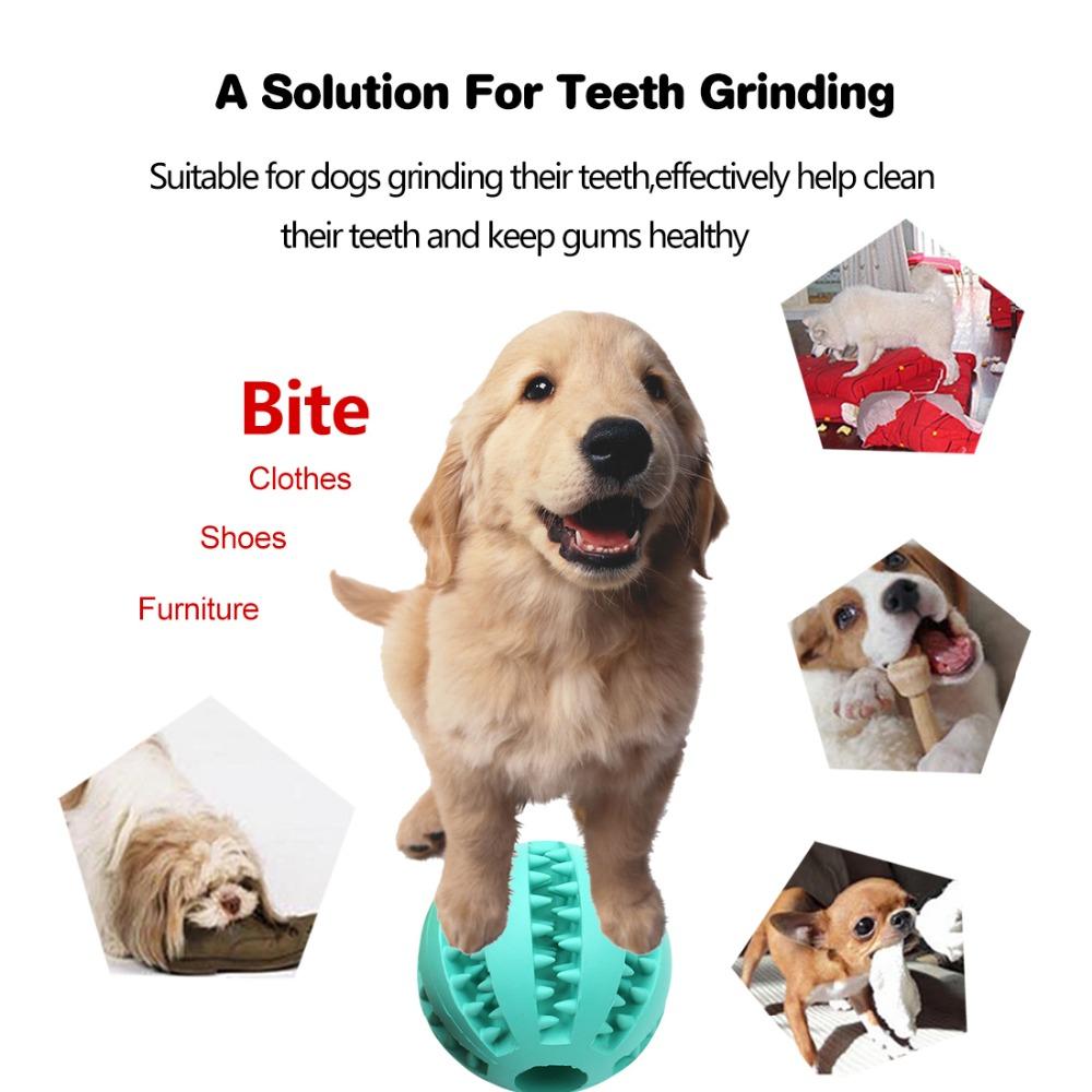 Interactive Rubber Dog Chew Ball for Teeth Cleaning