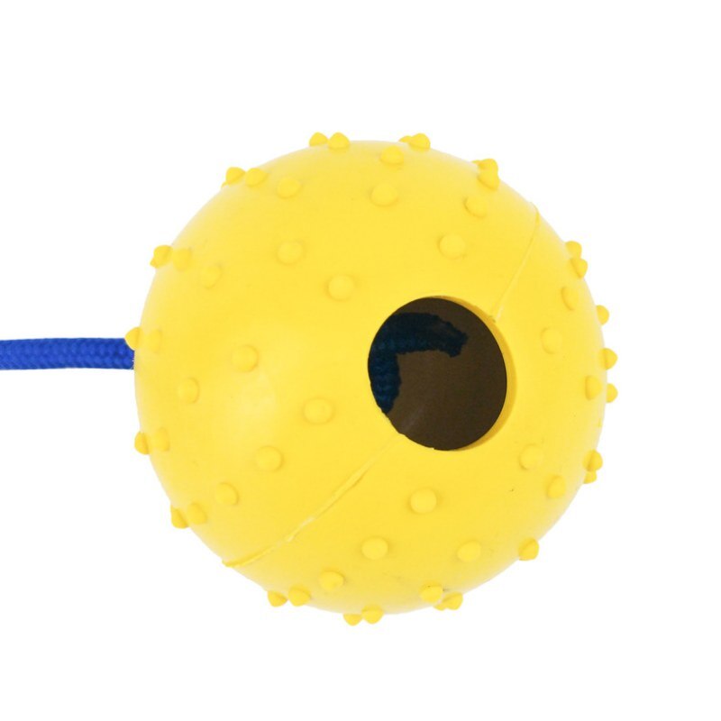Dog Training Ball on Rope for Interactive Fetch Play