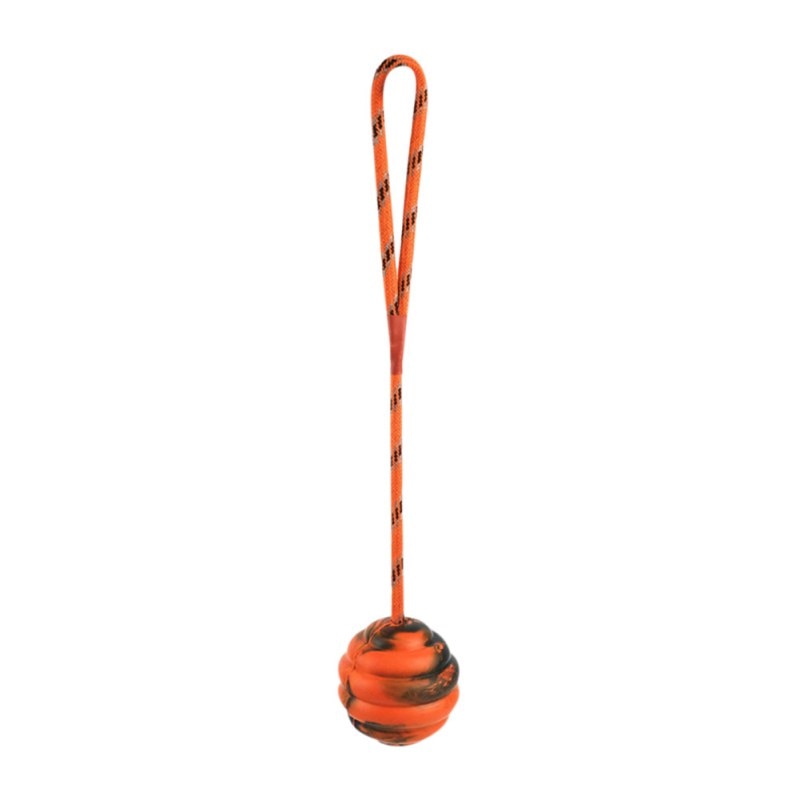 Dog Training Ball on Rope for Interactive Fetch Play