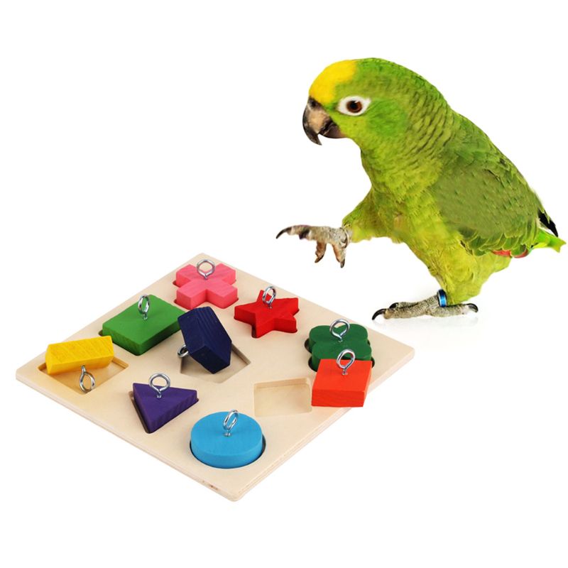 Parrot Puzzle Toy for Interactive Mental Enrichment