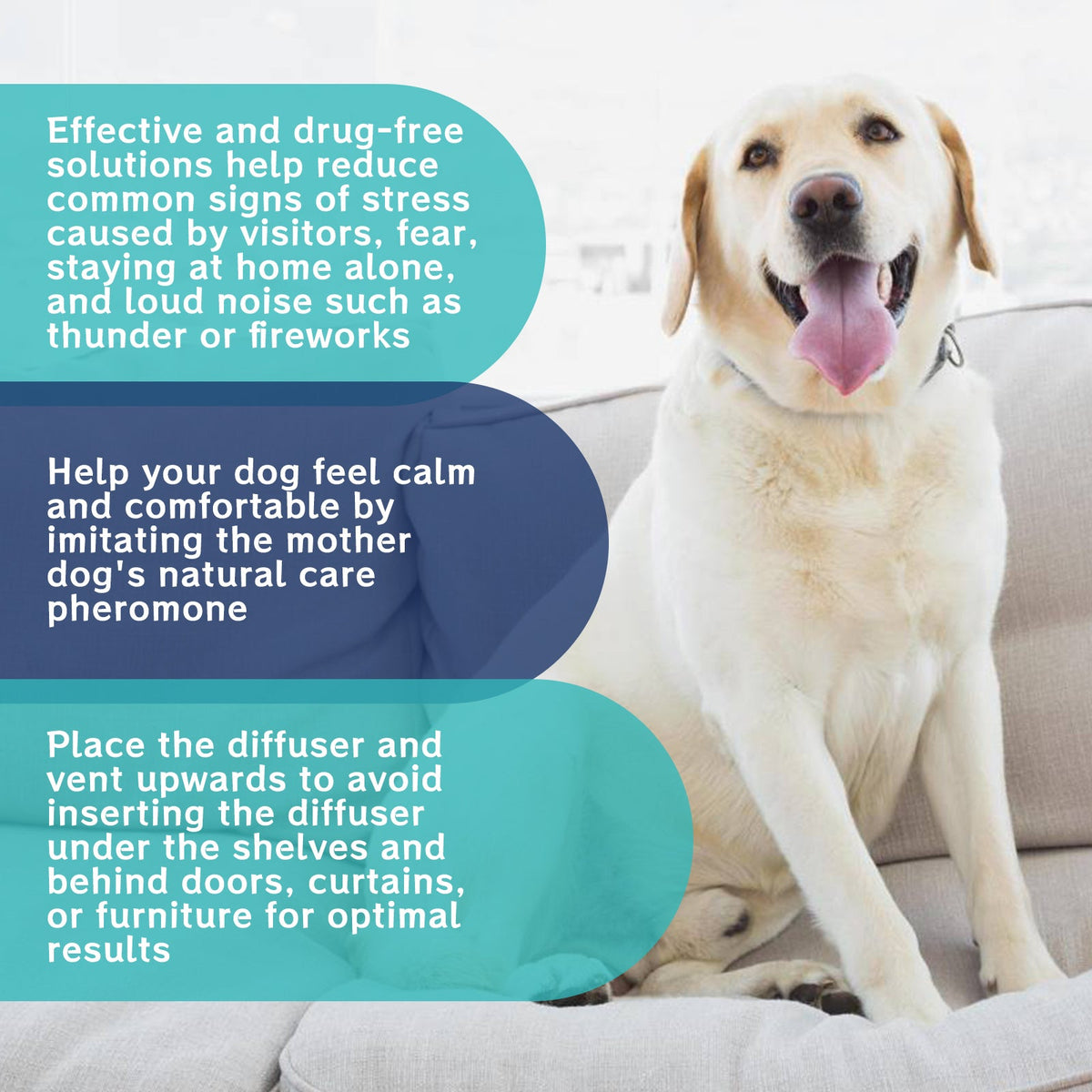 Dog Calming Drops for Stress Relief and Relaxation