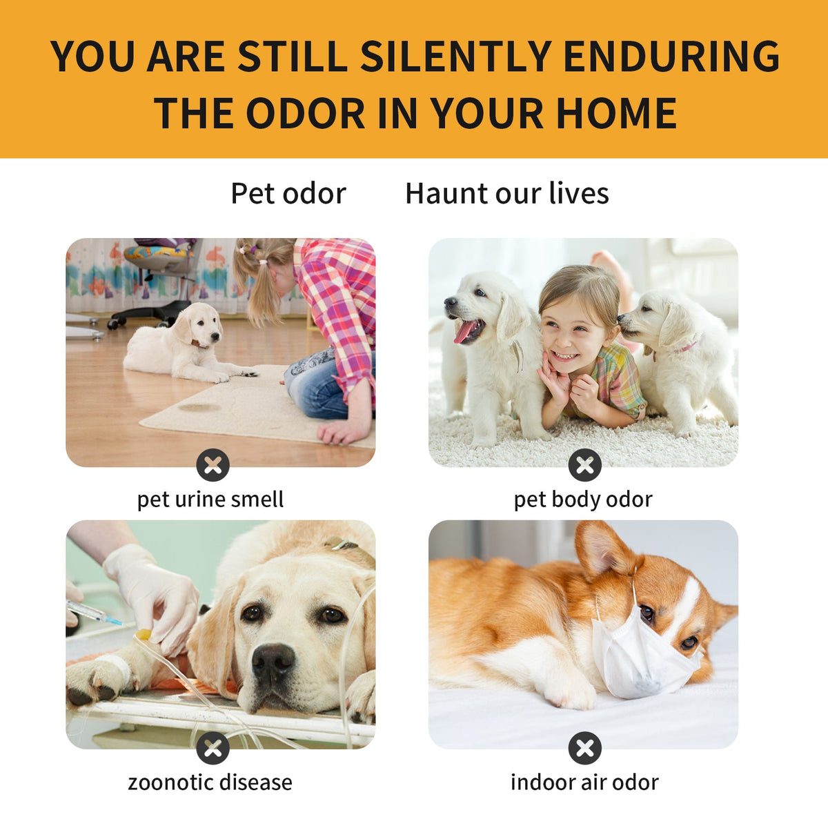 Pet Fabric Deodorizer Spray for Fresh, Clean Indoor Air