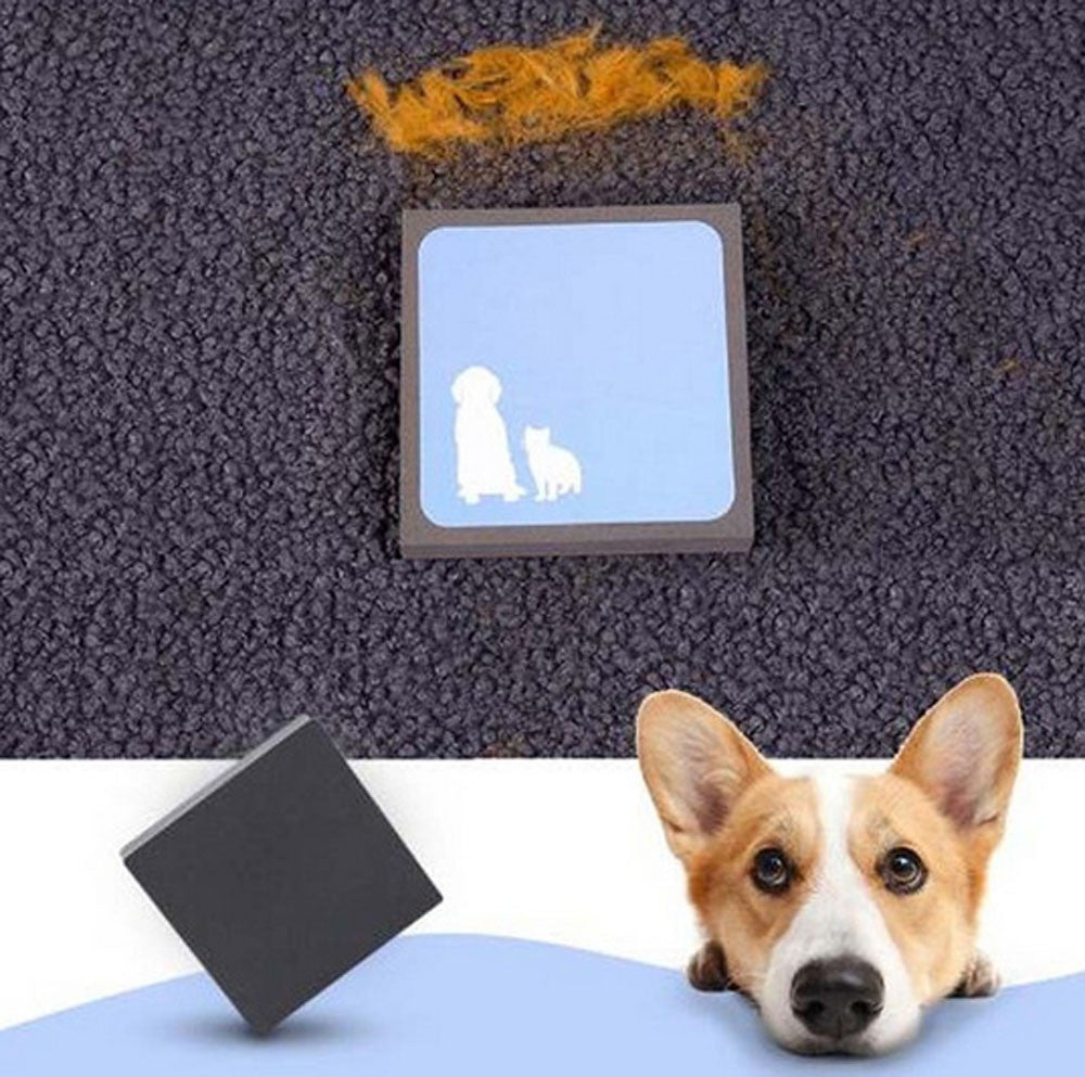 Pet Hair Remover Sweep Brush for Sofas and Car Seats