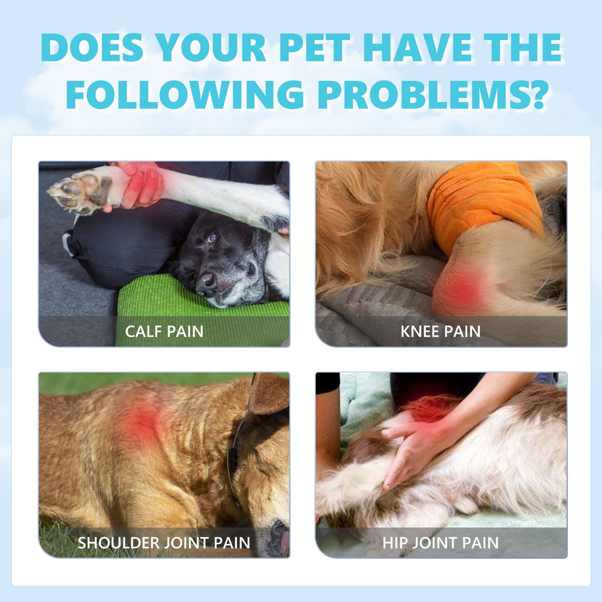 Pet Glucosamine Joint Support Drops for Cats & Dogs