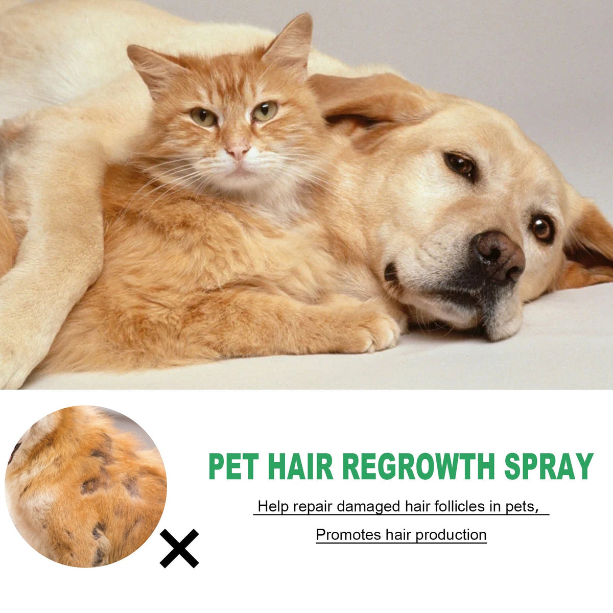 Pet Hair Growth Spray for Cats & Dogs, 1 fl oz Bottle