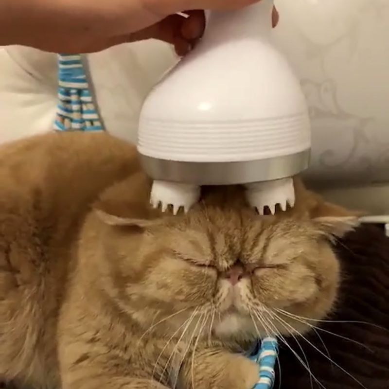 Cat Massager for Gentle At-Home Pet Relaxation Care