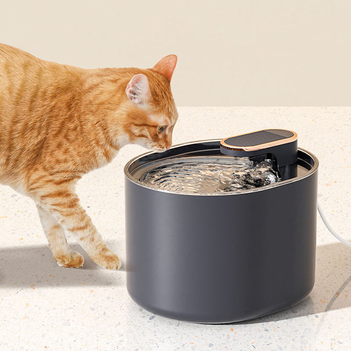 Automatic Pet Water Fountain With Quiet Fresh Flow