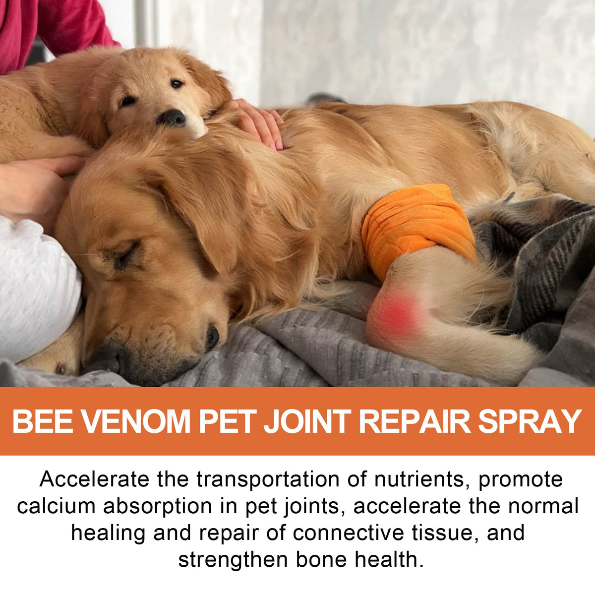 Pet Joint Care Spray for Dog & Cat Comfort Support