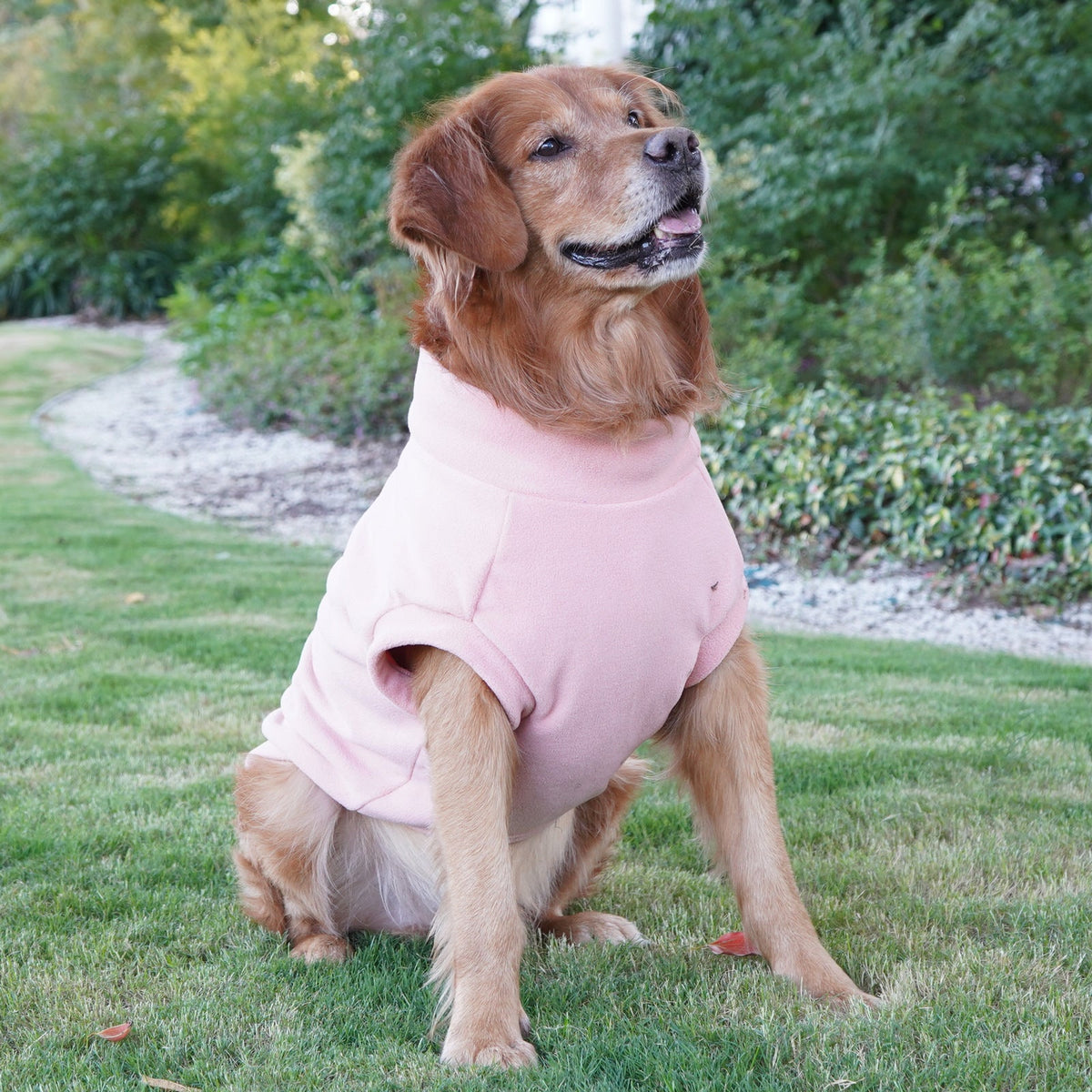 Large Dog Winter Shirt for Warmth and Easy Movement