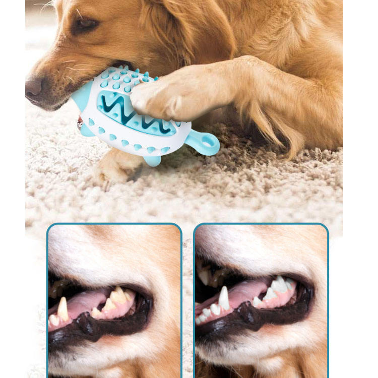 Dog Dental Treat Ball for Enrichment and Chewing