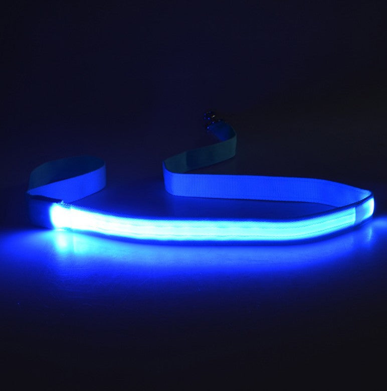 LED Dog Leash for Nighttime Walks, 120CM Visibility