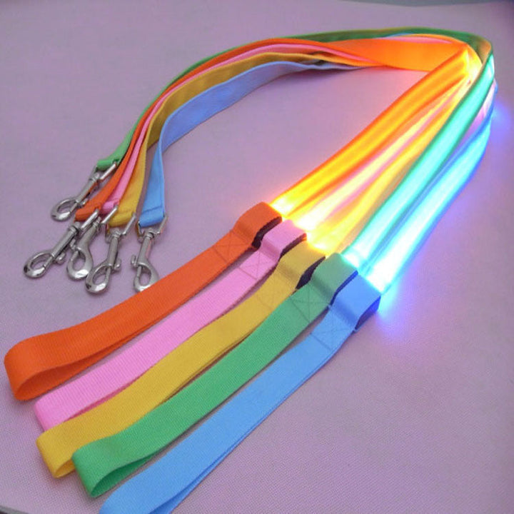 LED Dog Leash for Nighttime Walks, 120CM Visibility