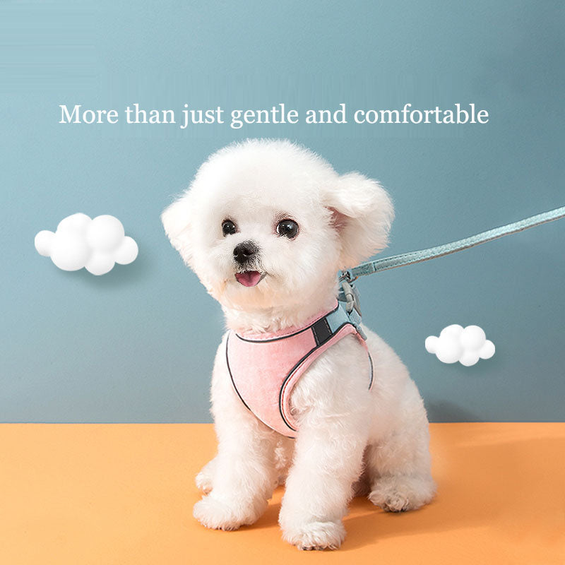 Reflective Cat & Small Dog Harness with Safety Leash