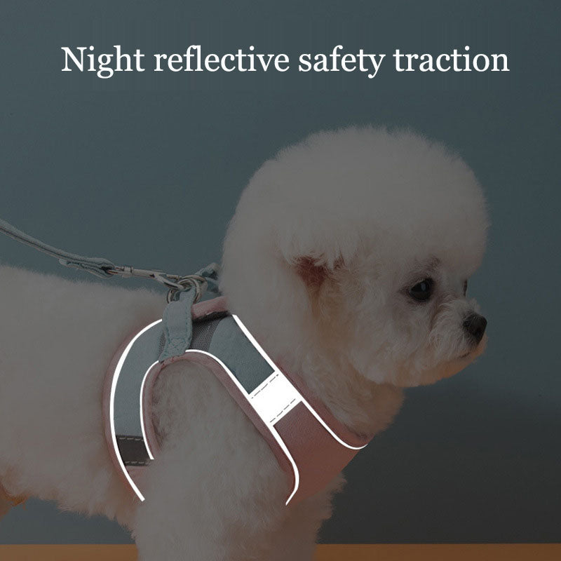 Reflective Cat & Small Dog Harness with Safety Leash
