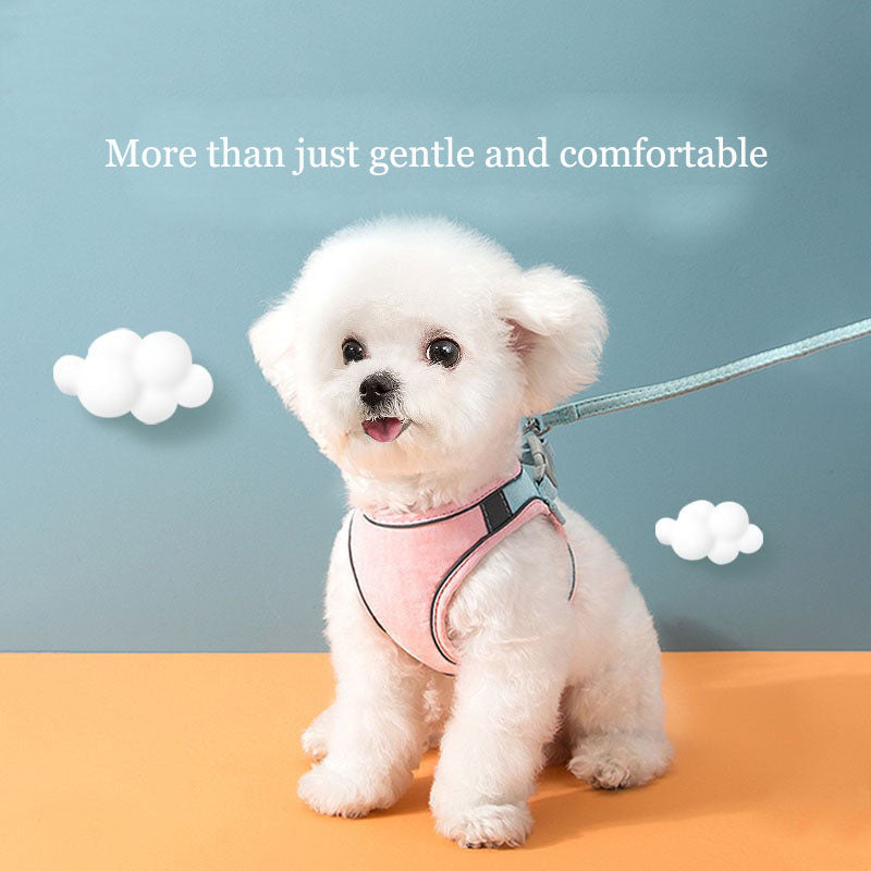 Reflective Cat & Small Dog Harness with Safety Leash