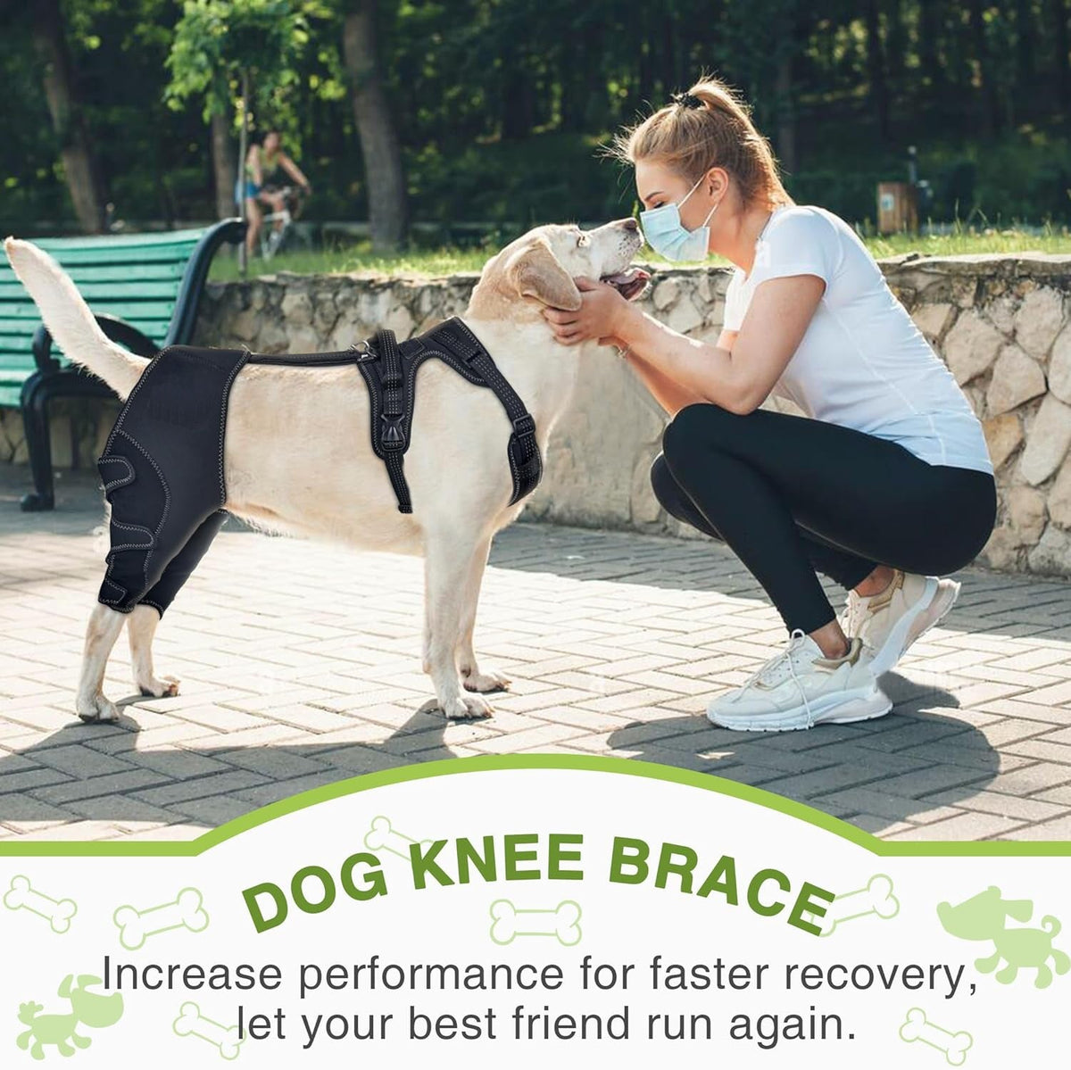 Dog Knee Brace for Post-Surgery Support and Recovery