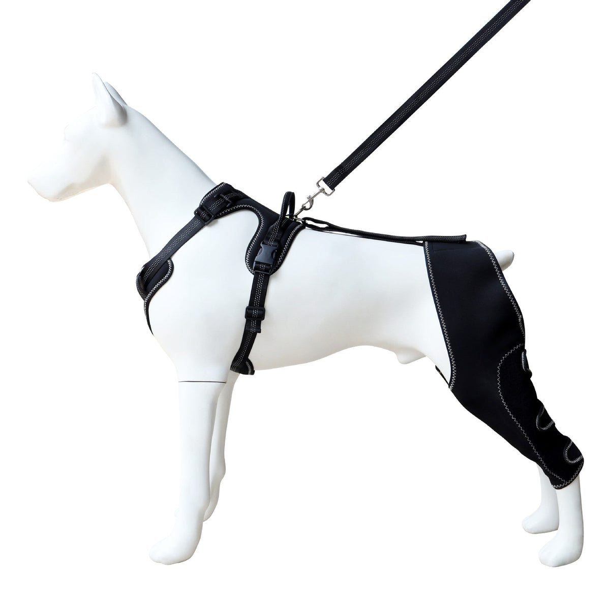 Dog Knee Brace for Post-Surgery Support and Recovery