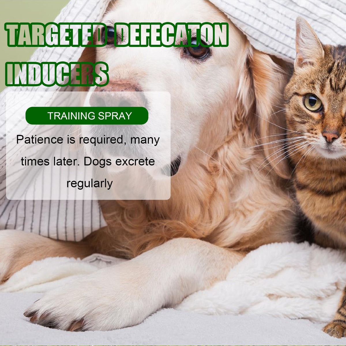 Pet Toilet Training Spray for Finding the Right Spot