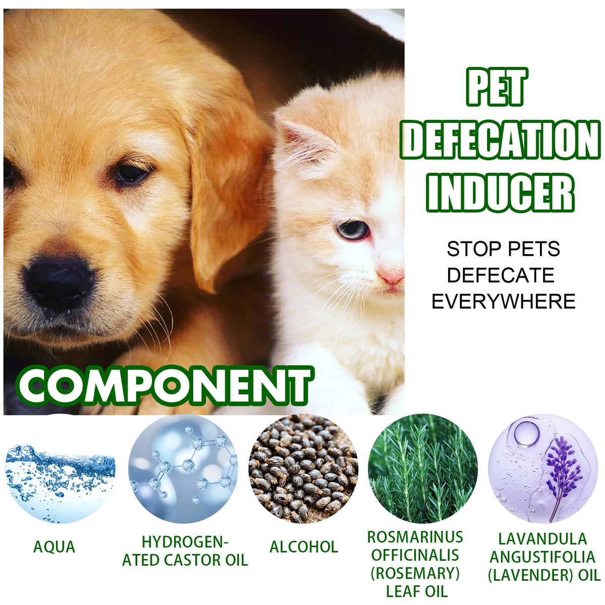 Pet Toilet Training Spray for Finding the Right Spot