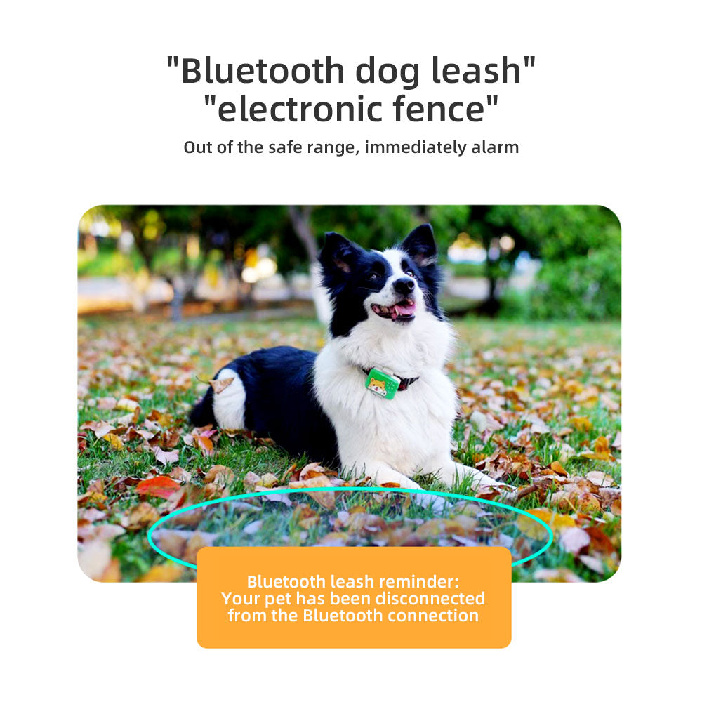 Pet GPS Locator With Real-Time Safety Fence Alerts