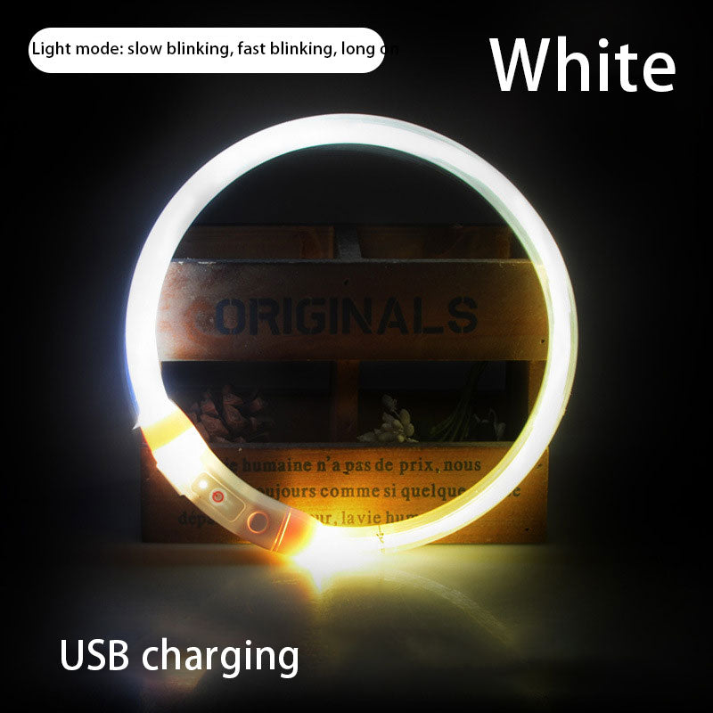 USB LED Dog Collar for Nighttime Walking Visibility