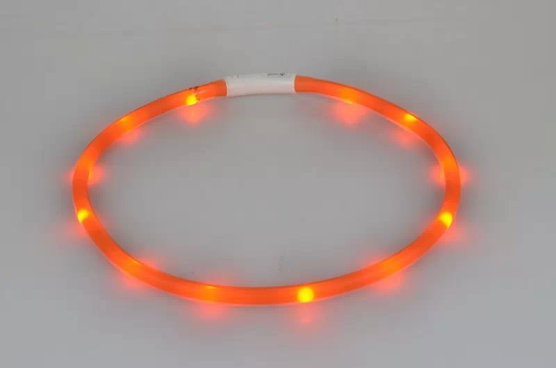 USB LED Dog Collar for Nighttime Walking Visibility