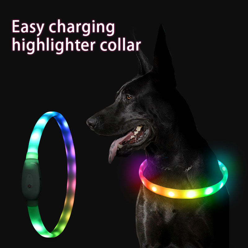 USB LED Dog Collar for Nighttime Walking Visibility