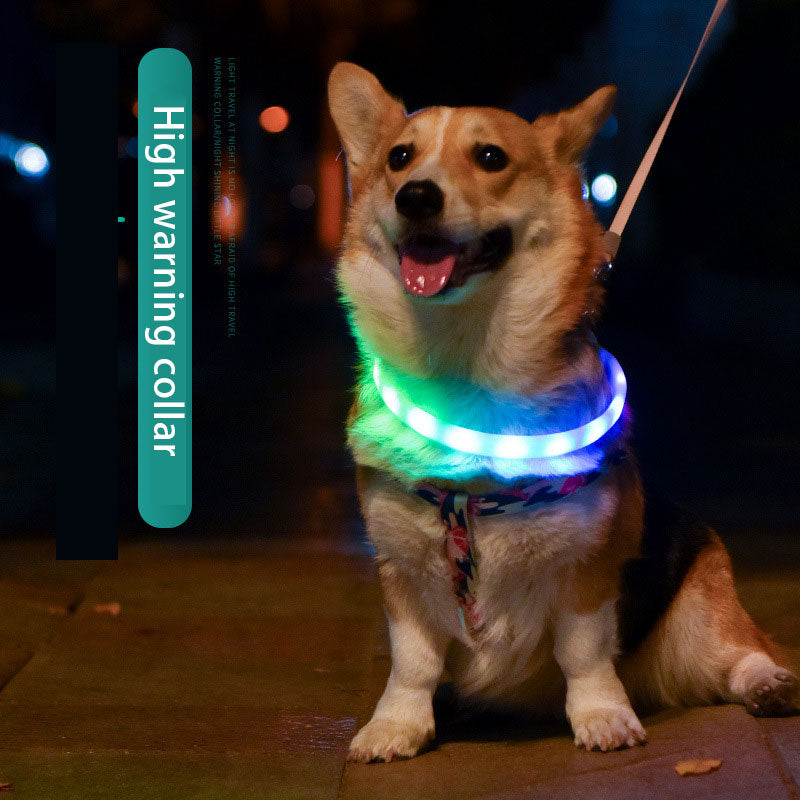 USB LED Dog Collar for Nighttime Walking Visibility