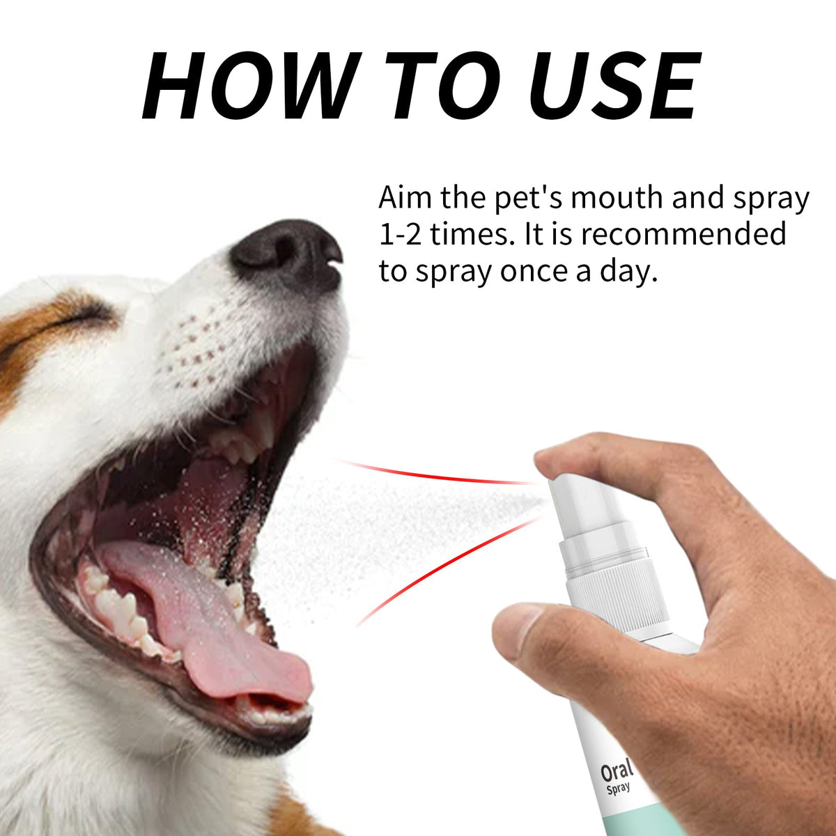 Pet Breath Spray for Fresher Breath and Easy Cuddles