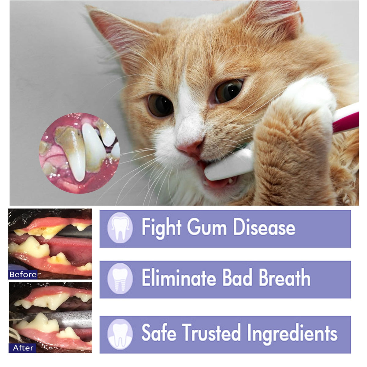 Pet Toothpaste for Dogs & Cats — Fresh Breath Care