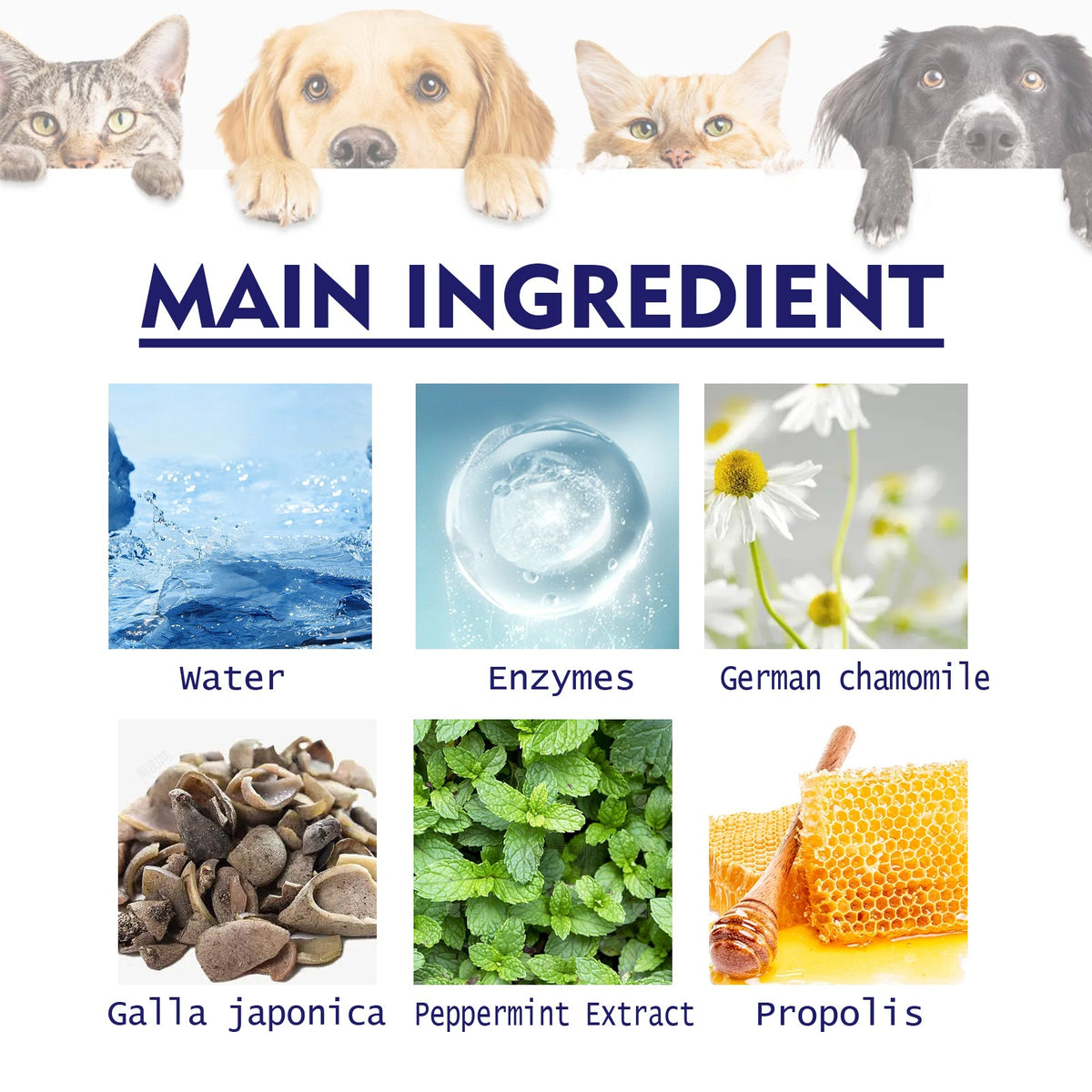 Pet Toothpaste for Dogs & Cats — Fresh Breath Care